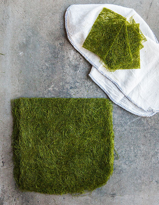 [바다숲] 생감태 5매 - Kurly USA