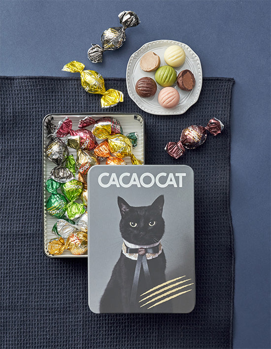 [카카오캣] 시그니처 캣 틴 케이스 초콜릿 175g - Kurly USA