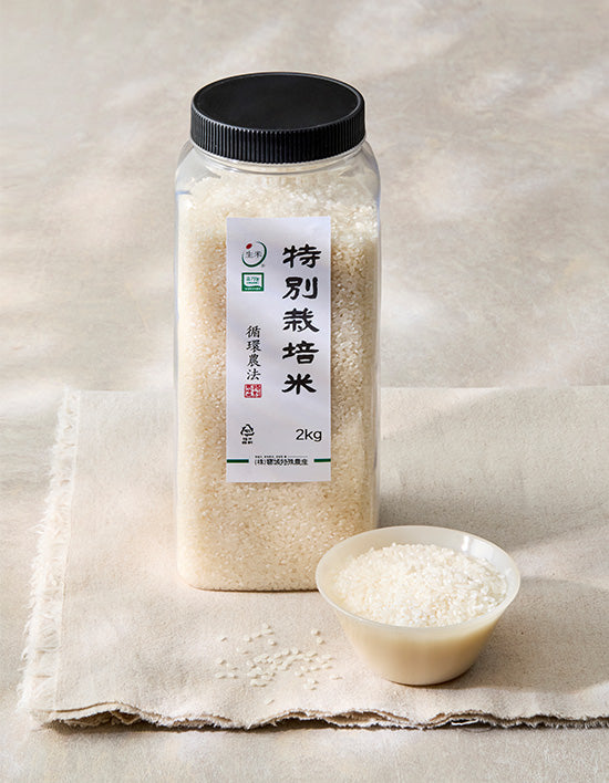 [정미소] 특별재배 14분도미 2kg - Kurly USA