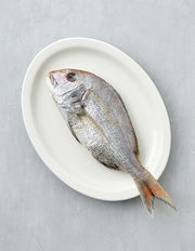 [다미원] 반건조 손질 참돔 330g (냉동) - Kurly USA