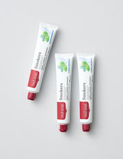 [레드씰] 스모커스 치약 100g (3개입) - Kurly USA